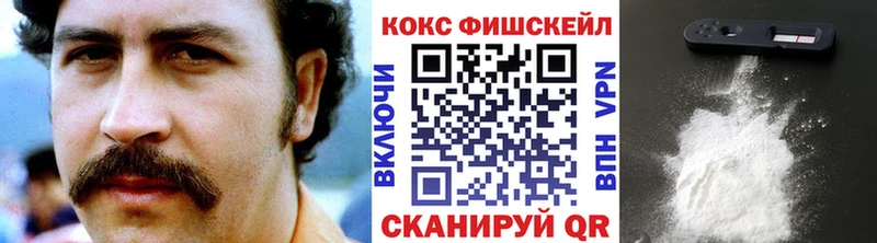 Cocaine FishScale  Ишим 
