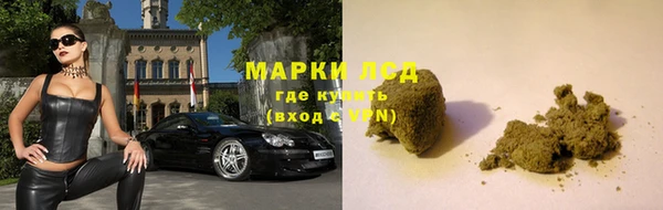 мяу мяу мука Алзамай