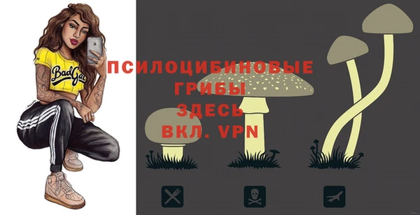 круглые Алексеевка