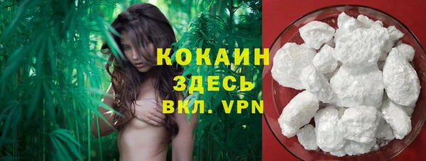 мяу мяу мука Алзамай