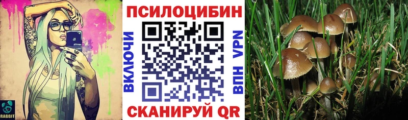 Галлюциногенные грибы Magic Shrooms Ишим